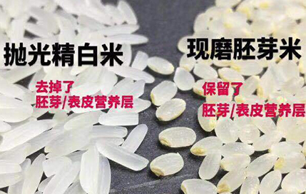 远超日本标准的胚芽米技术，优加双利致力打造